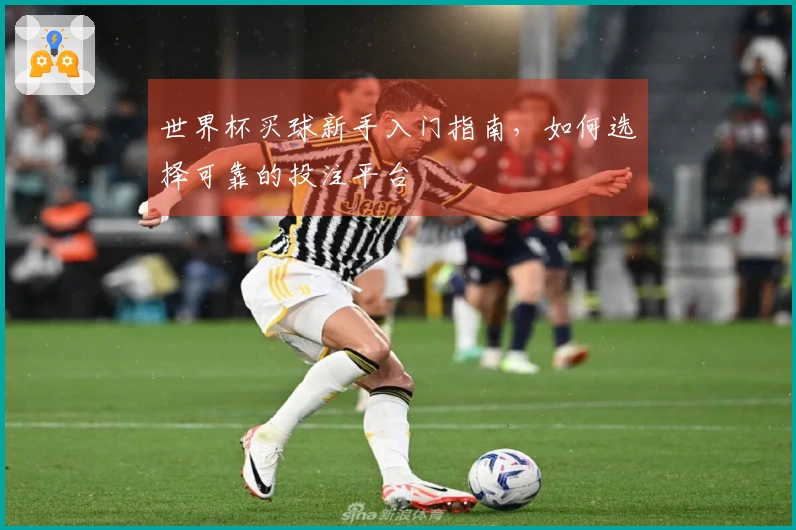 世界杯买球新手入门指南，如何选择可靠的投注平台