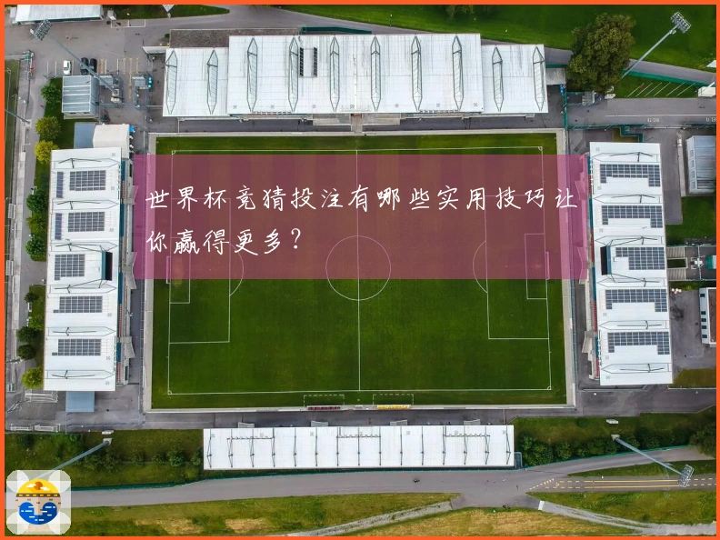 世界杯竞猜投注有哪些实用技巧让你赢得更多？